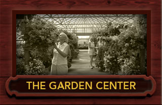 robert treat farm garden center in milford ct